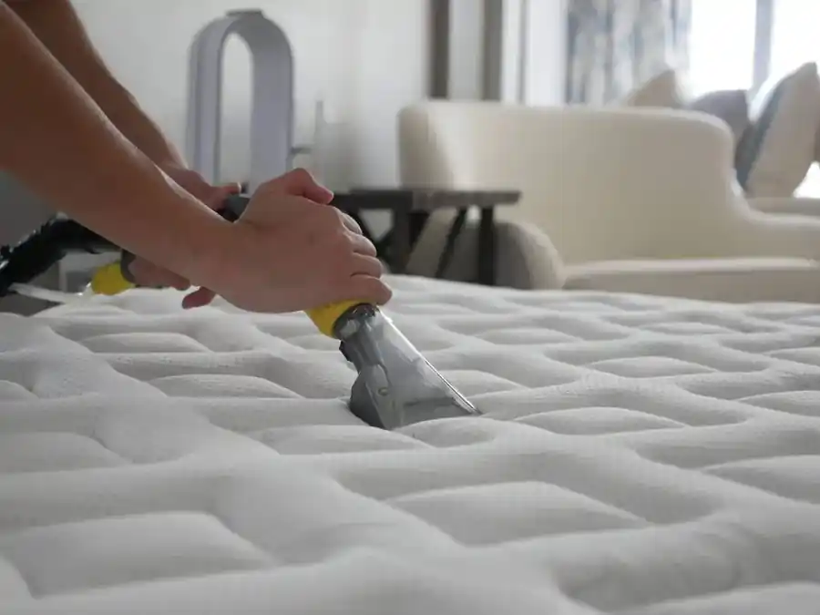 Florida Fresh professional upholstery cleaning service Orlando